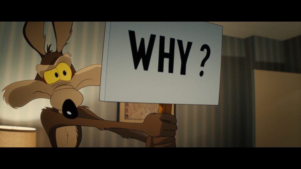 Coyote vs Acme review