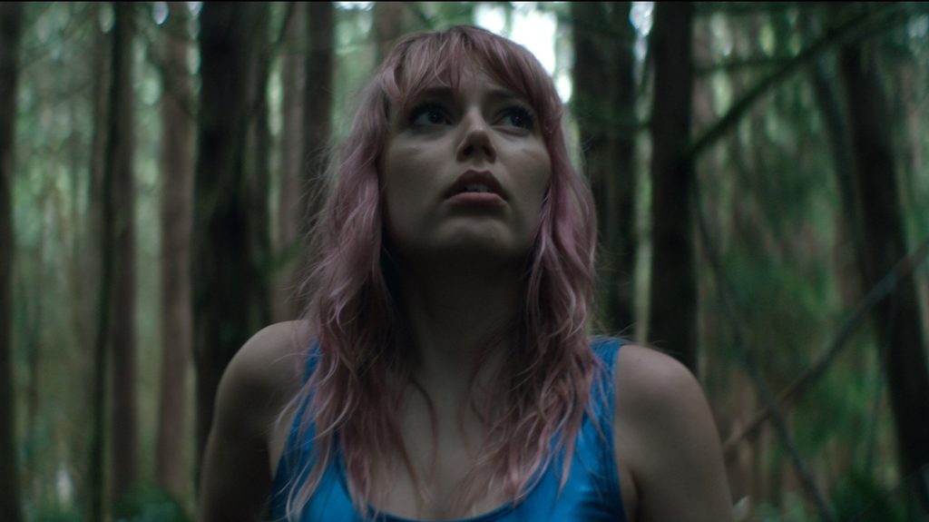 The Swallow review